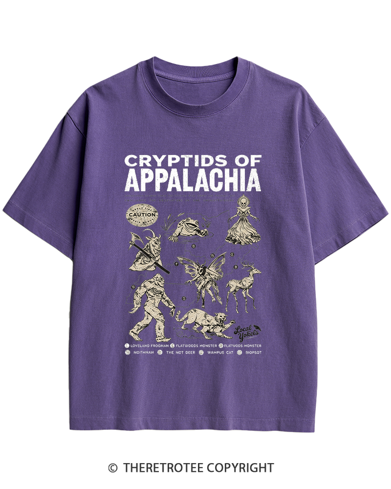 TheRetroTee Cryptids of Appalachia 1970s Heavy Cotton T-Shirt