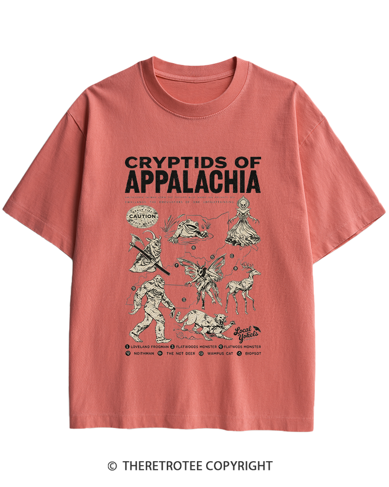 TheRetroTee Cryptids of Appalachia 1970s Heavy Cotton T-Shirt