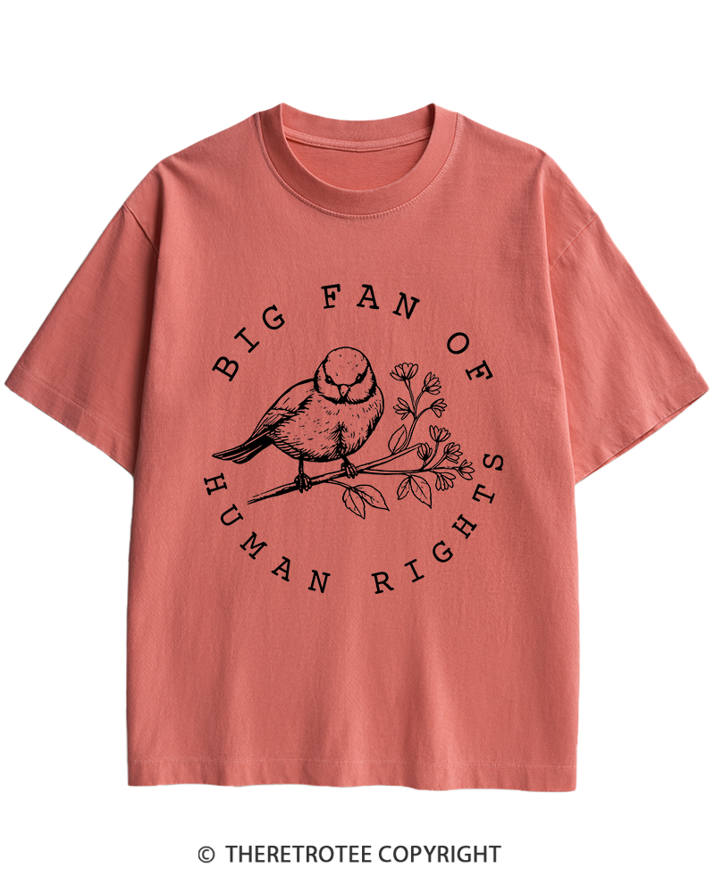 TheRetroTee Big fan of human rights Heavy Cotton T-Shirt