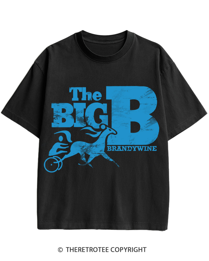 TheRetroTee Brandywine Raceway 1975 Cotton T-Shirt