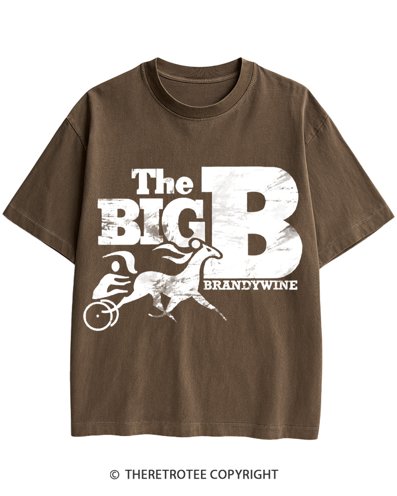 TheRetroTee Brandywine Raceway 1975 Cotton T-Shirt