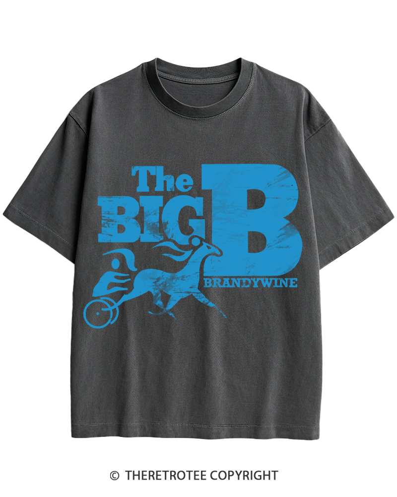 TheRetroTee Brandywine Raceway 1975 Cotton T-Shirt