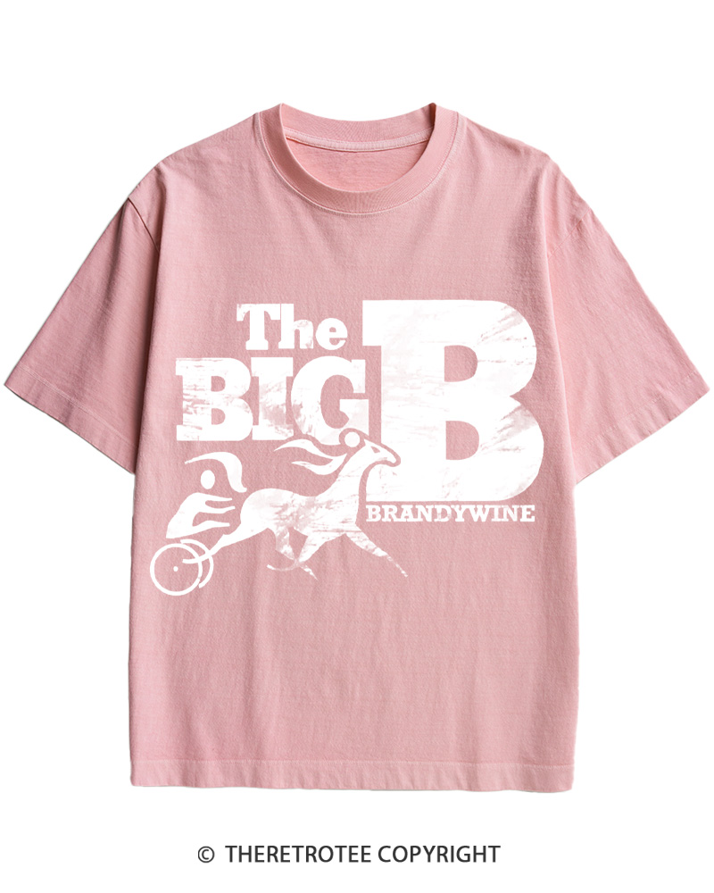 TheRetroTee Brandywine Raceway 1975 Cotton T-Shirt