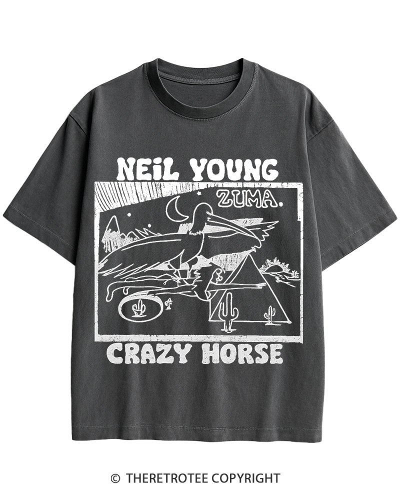 TheRetroTee 1970s Desert Moon Flight Retro Music Cotton T-Shirt