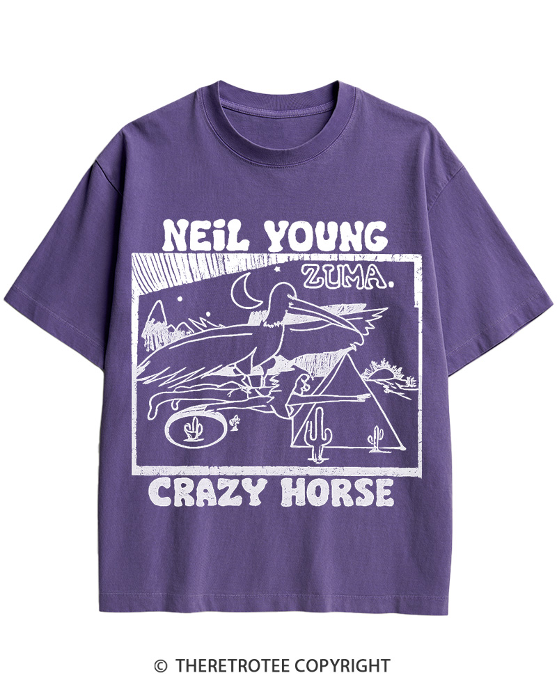 TheRetroTee 1970s Desert Moon Flight Retro Music Cotton T-Shirt