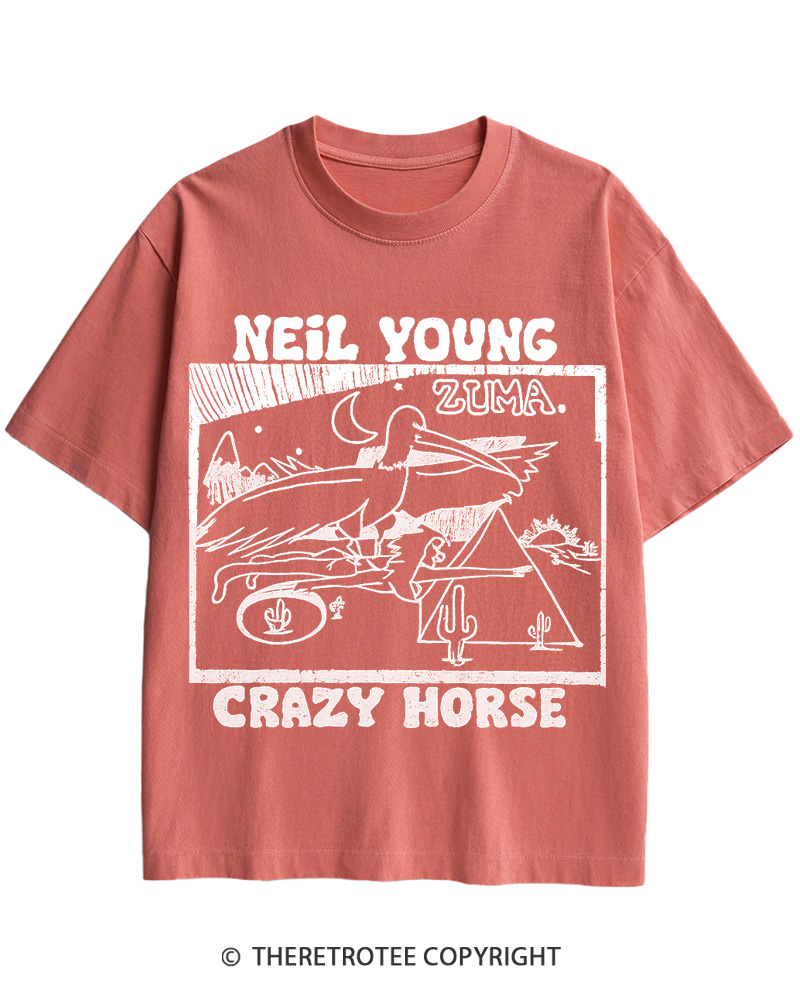 TheRetroTee 1970s Desert Moon Flight Retro Music Cotton T-Shirt