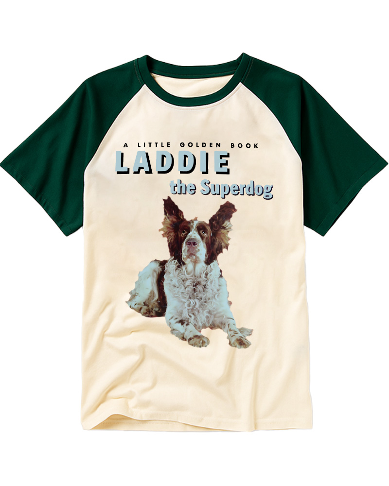 TheRetroTee Your Childhood Ruined Shut 1950s Raglan Baseball T-Shirt