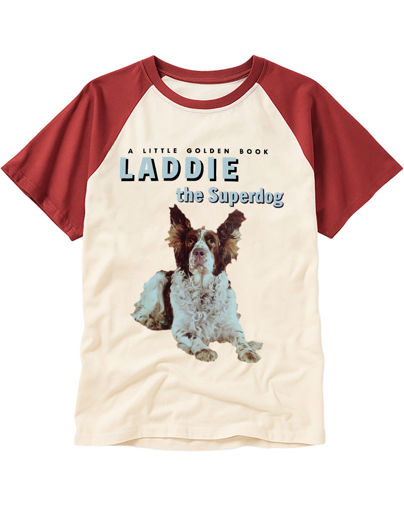 TheRetroTee Your Childhood Ruined Shut 1950s Raglan Baseball T-Shirt