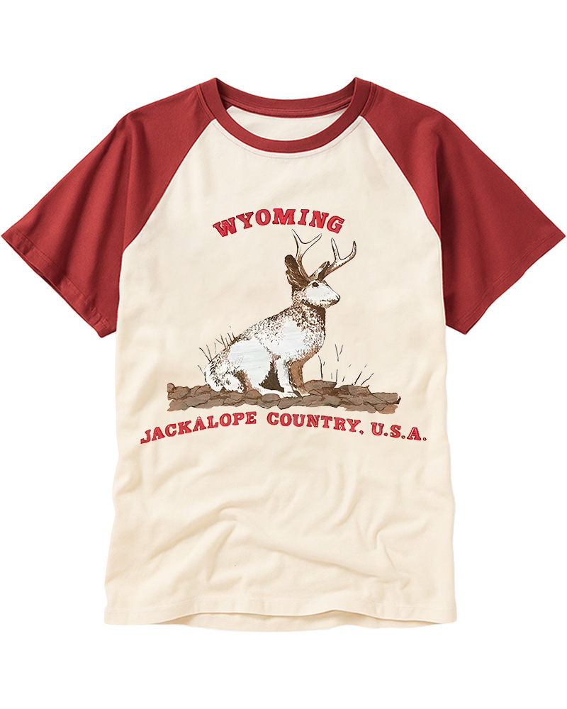 TheRetroTee 60's Vintage Wyoming Jackalope Country Raglan Baseball T-Shirt