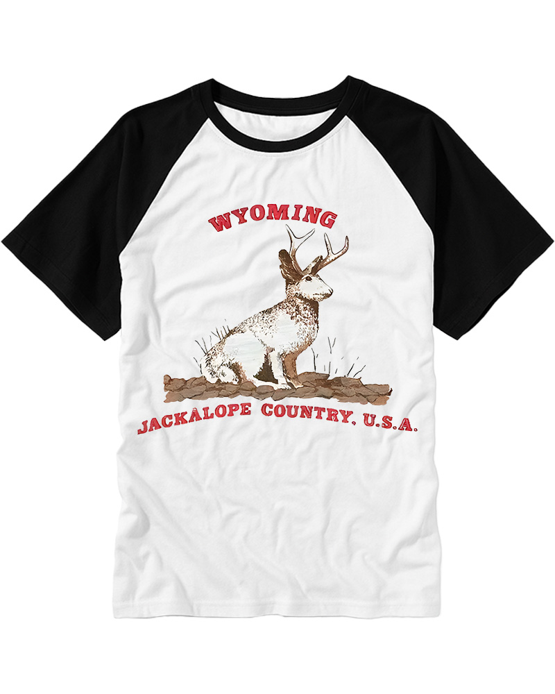 TheRetroTee 60's Vintage Wyoming Jackalope Country Raglan Baseball T-Shirt