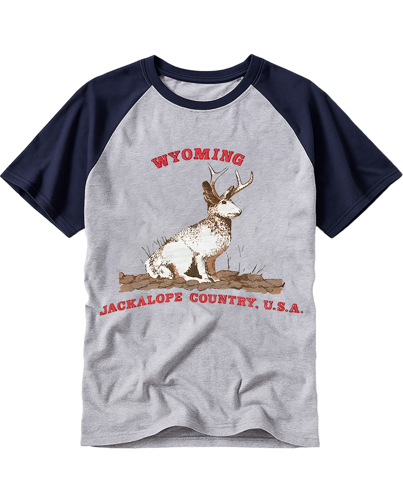 TheRetroTee 60's Vintage Wyoming Jackalope Country Raglan Baseball T-Shirt