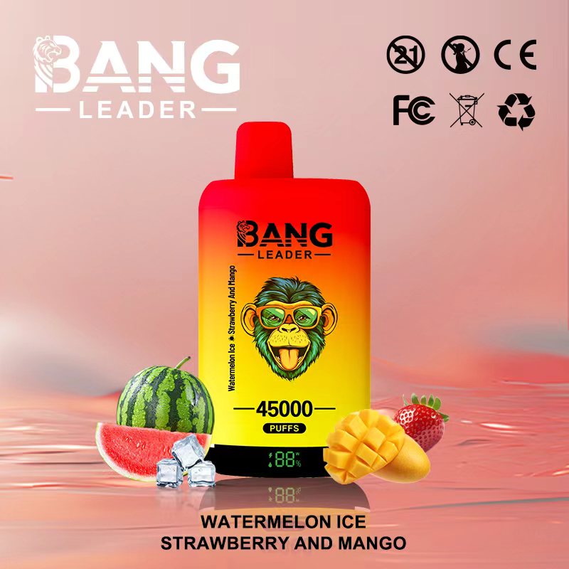 Bang Leader 45000 45K Puffs 2% 3% 5% Nicotine Double Taste LED Display Disposable Vape(10 pcs)