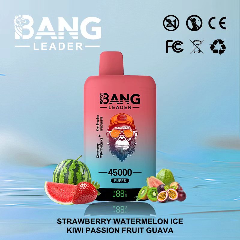 Bang Leader 45000 45K Puffs 2% 3% 5% Nicotine Double Taste LED Display Disposable Vape(10 pcs)