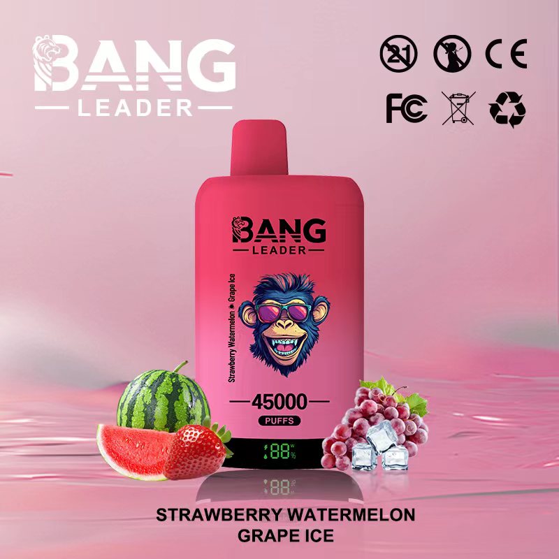 Bang Leader 45000 45K Puffs 2% 3% 5% Nicotine Double Taste LED Display Disposable Vape(10 pcs)