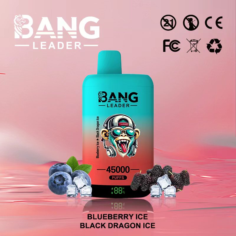 Bang Leader 45000 45K Puffs 2% 3% 5% Nicotine Double Taste LED Display Disposable Vape(10 pcs)
