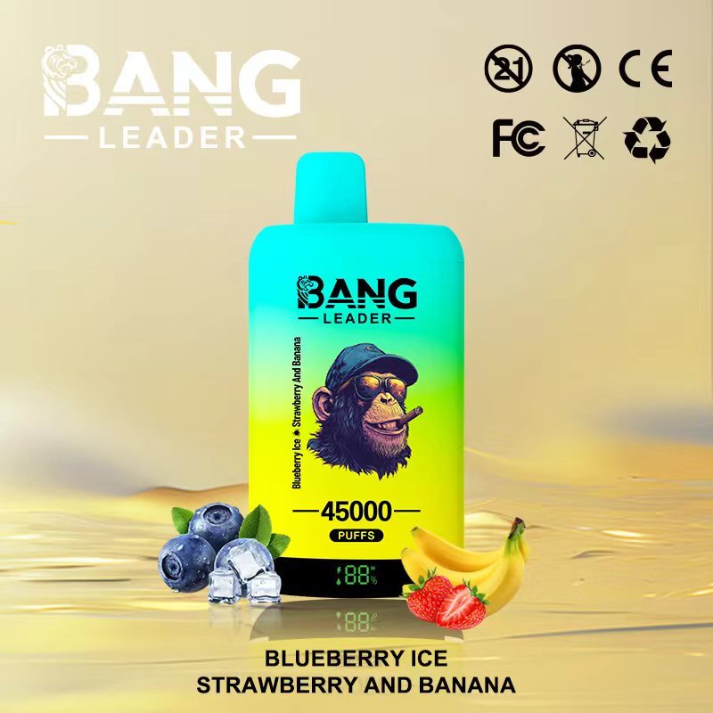 Bang Leader 45000 45K Puffs 2% 3% 5% Nicotine Double Taste LED Display Disposable Vape(10 pcs)