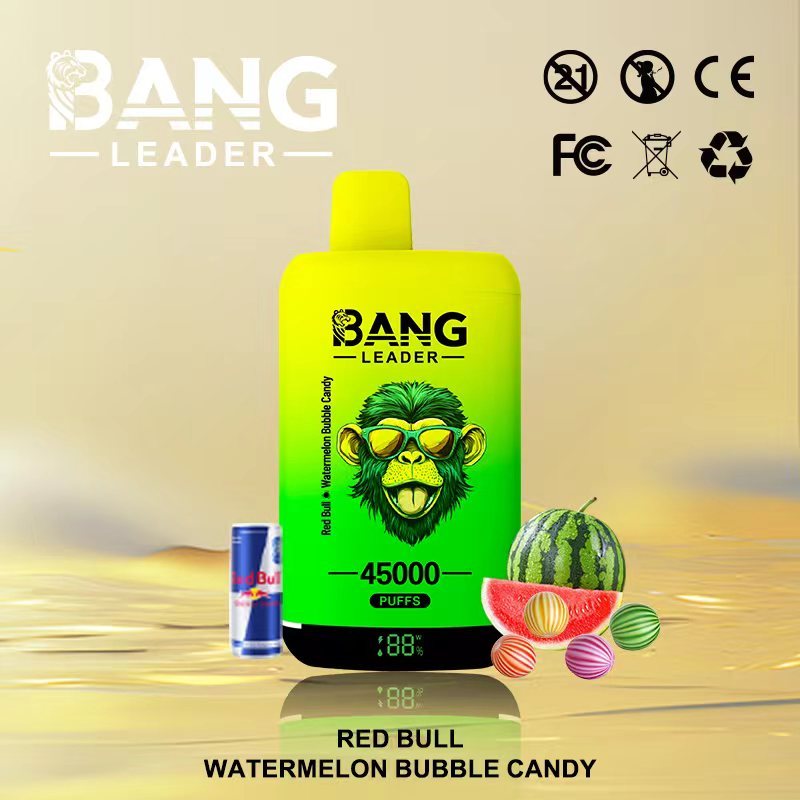 Bang Leader 45000 45K Puffs 2% 3% 5% Nicotine Double Taste LED Display Disposable Vape(10 pcs)