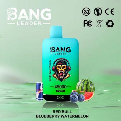 Bang Leader 45000 45K Puffs 2% 3% 5% Nicotine Double Taste LED Display Disposable Vape(10 pcs)