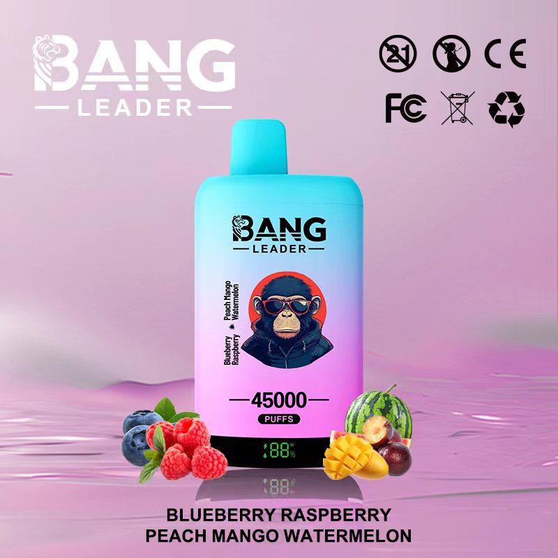 Bang Leader 45000 45K Puffs 2% 3% 5% Nicotine Double Taste LED Display Disposable Vape(10 pcs)