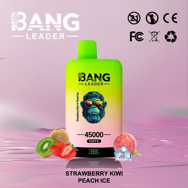 Bang Leader 45000 45K Puffs 2% 3% 5% Nicotine Double Taste LED Display Disposable Vape(10 pcs)