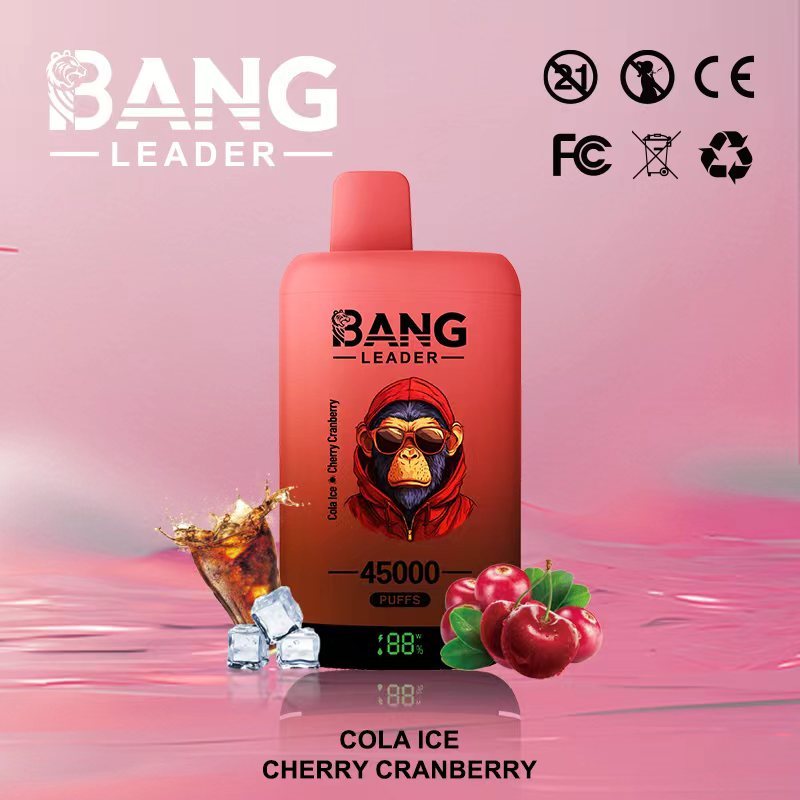 Bang Leader 45000 45K Puffs 2% 3% 5% Nicotine Double Taste LED Display Disposable Vape(10 pcs)