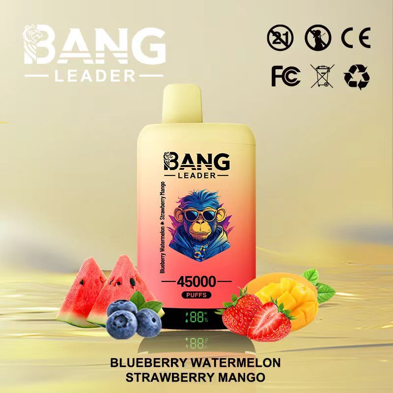 Bang Leader 45000 45K Puffs 2% 3% 5% Nicotine Double Taste LED Display Disposable Vape(10 pcs)