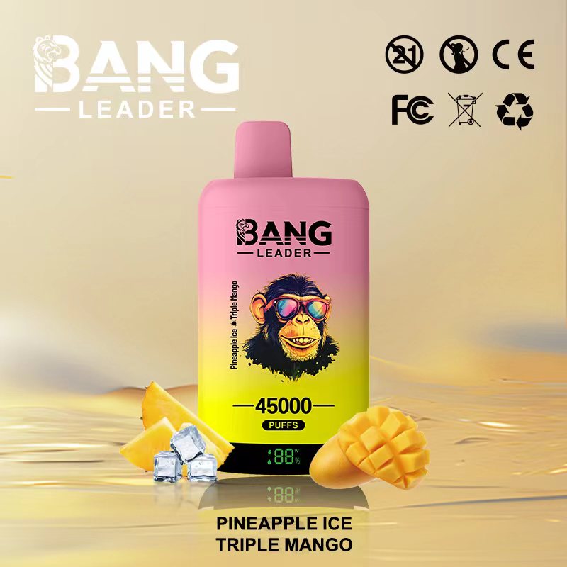 Bang Leader 45000 45K Puffs 2% 3% 5% Nicotine Double Taste LED Display Disposable Vape(10 pcs)