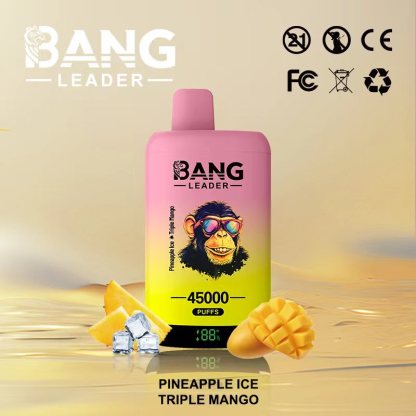 Bang Leader 45000 45K Puffs 2% 3% 5% Nicotine Double Taste LED Display Disposable Vape(10 pcs)