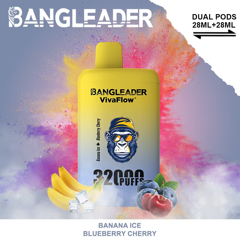 Bang Leader 32000 32k Puffs 0% 2% 3% 5% Nicotine Double Taste Disposable Vape(10 pcs)