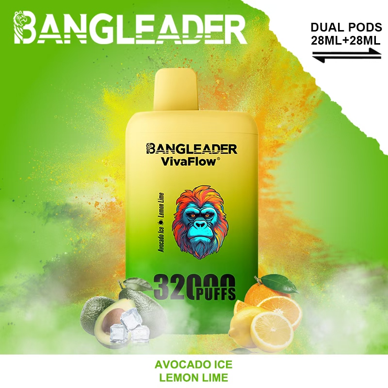 Bang Leader 32000 32k Puffs 0% 2% 3% 5% Nicotine Double Taste Disposable Vape(10 pcs)
