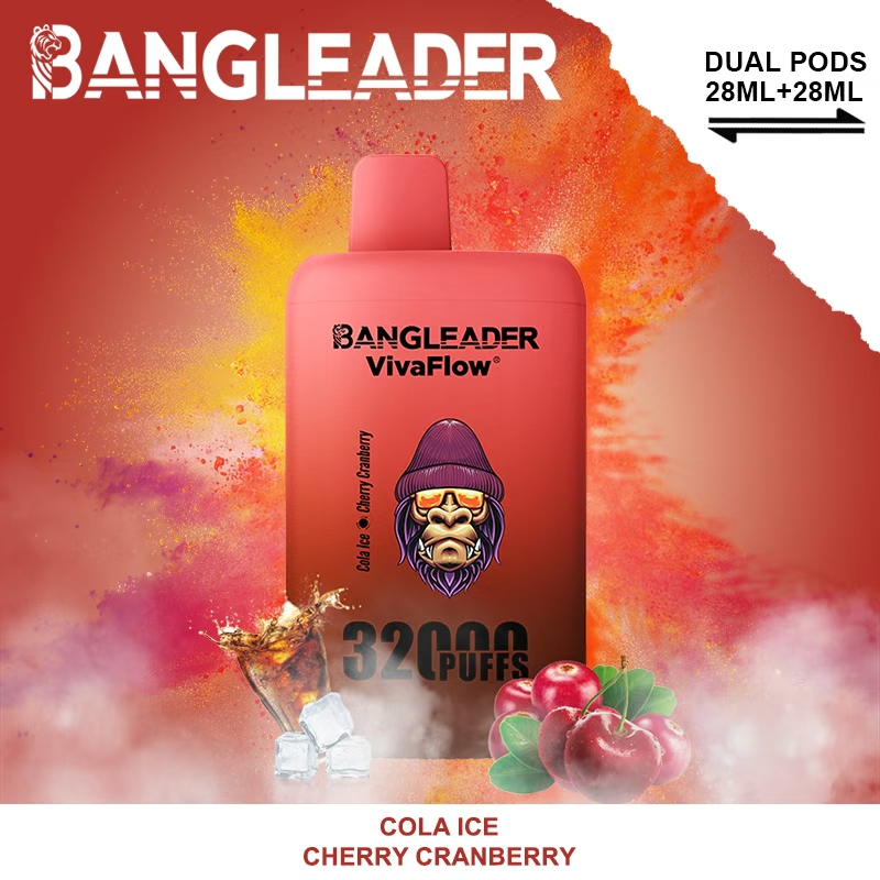 Bang Leader 32000 32k Puffs 0% 2% 3% 5% Nicotine Double Taste Disposable Vape(10 pcs)