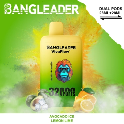 Bang Leader 32000 32k Puffs 0% 2% 3% 5% Nicotine Double Taste Disposable Vape(10 pcs)