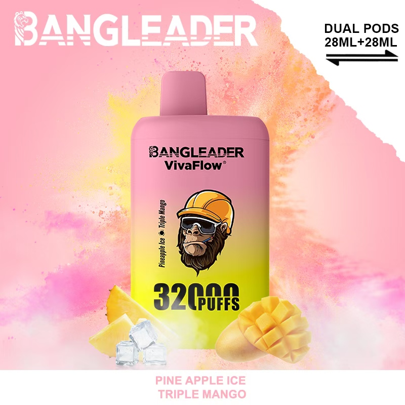 Bang Leader 32000 32k Puffs 0% 2% 3% 5% Nicotine Double Taste Disposable Vape(10 pcs)