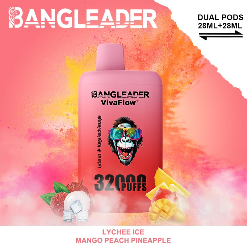 Bang Leader 32000 32k Puffs 0% 2% 3% 5% Nicotine Double Taste Disposable Vape(10 pcs)