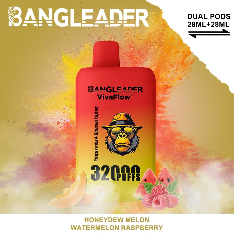 Bang Leader 32000 32k Puffs 0% 2% 3% 5% Nicotine Double Taste Disposable Vape(10 pcs)