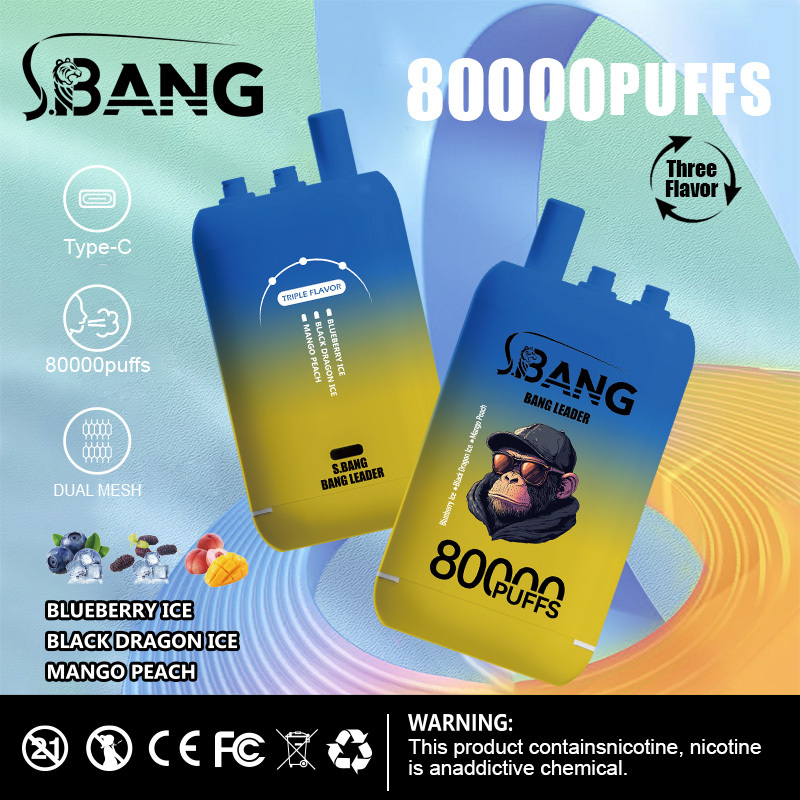 Bang Leader 80000 80K Puffs 3 in 1 Flavors Newest Original Rechargeable Disposable Vape(10 pcs)