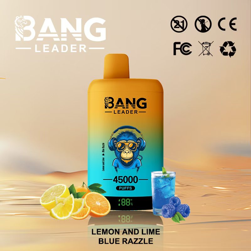 Bang Leader 45000 45K Puffs 2% 3% 5% Nicotine Double Taste LED Display Disposable Vape(10 pcs)