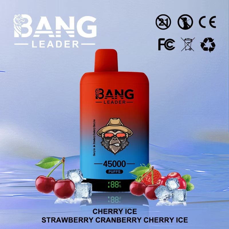 Bang Leader 45000 45K Puffs 2% 3% 5% Nicotine Double Taste LED Display Disposable Vape(10 pcs)