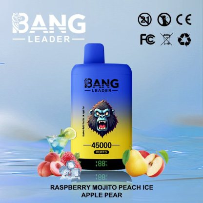 Bang Leader 45000 45K Puffs 2% 3% 5% Nicotine Double Taste LED Display Disposable Vape(10 pcs)