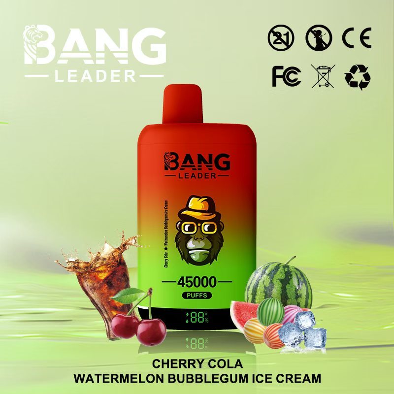 Bang Leader 45000 45K Puffs 2% 3% 5% Nicotine Double Taste LED Display Disposable Vape(10 pcs)