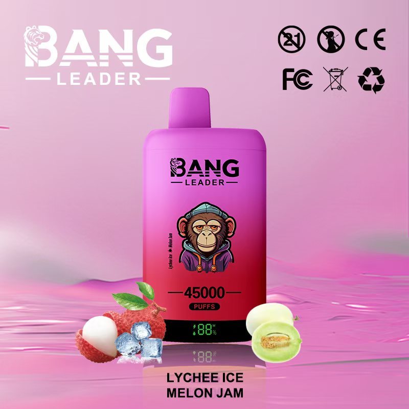 Bang Leader 45000 45K Puffs 2% 3% 5% Nicotine Double Taste LED Display Disposable Vape(10 pcs)