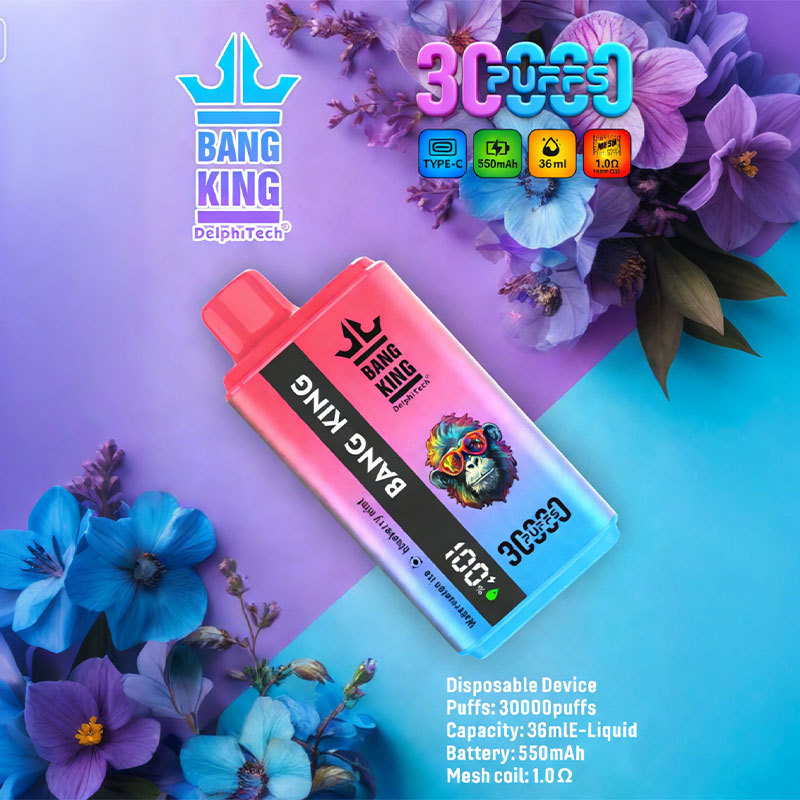 Bang King 30000 Puffs Dual Flavors Rechargable Disposable Vape
