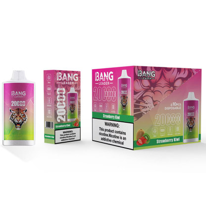 Bang Leader 20000 Puffs TypeC Rechargeable Disposable Vape