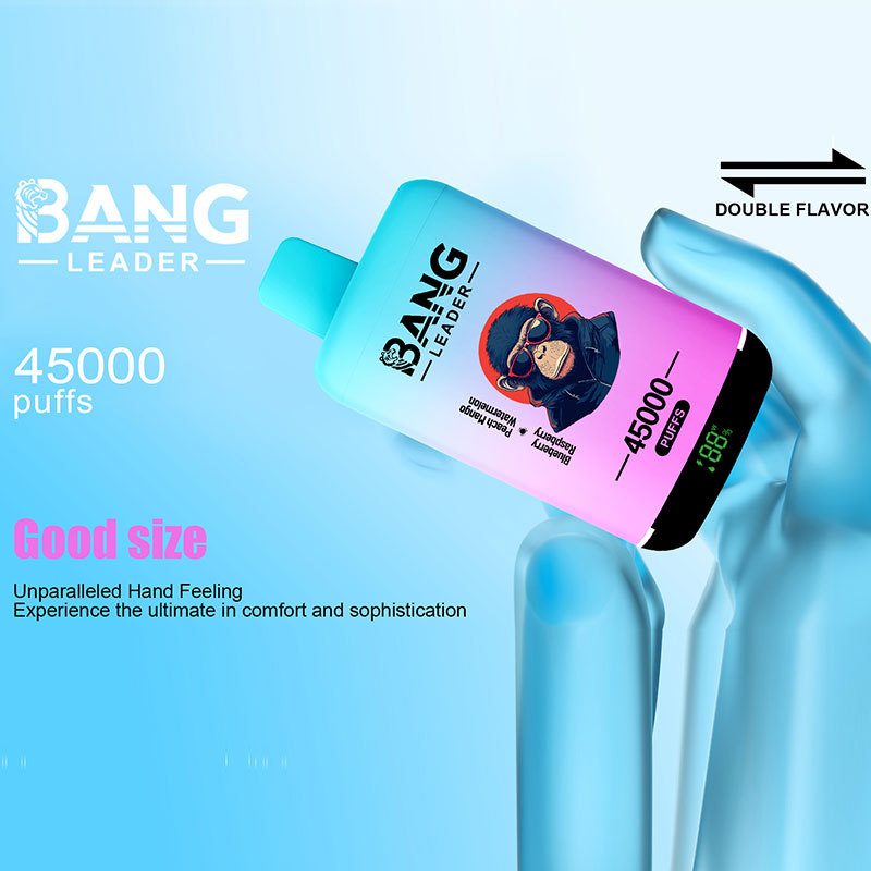 Bang Leader 45000 Puffs Double Flavors LED Display Disposable Vape