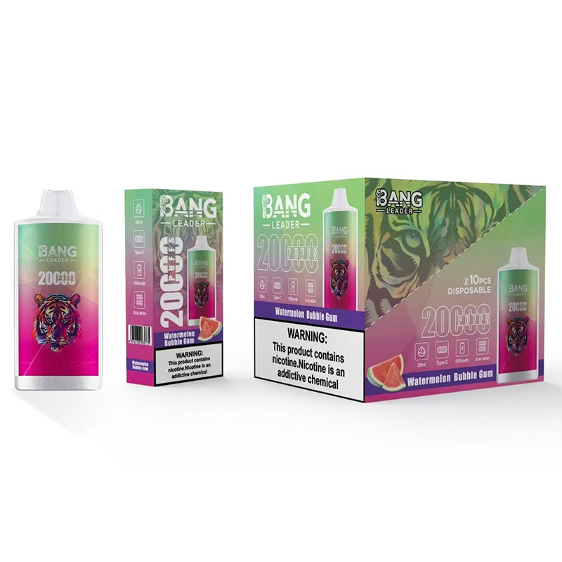 Bang Leader 20000 Puffs TypeC Rechargeable Disposable Vape