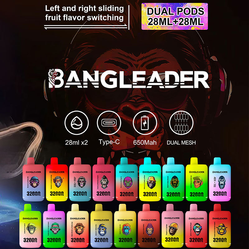 Bang Leader 32000 Puffs Portable Double Flavors Disposable Vape