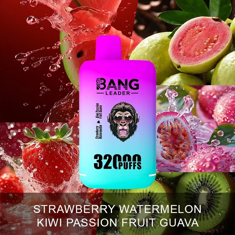 Bang Leader 32000 32k Puffs 0% 2% 3% 5% Nicotine Double Taste Disposable Vape(10 pcs)