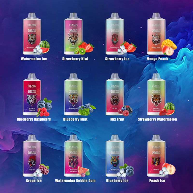 Bang Leader 20000 Puffs TypeC Rechargeable Disposable Vape