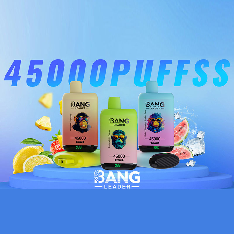 Bang Leader 45000 Puffs Double Flavors LED Display Disposable Vape