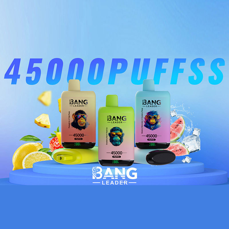 Bang Leader 45000 Puffs Double Flavors LED Display Disposable Vape